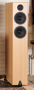 Totem Acoustic Twin Tower loudspeaker